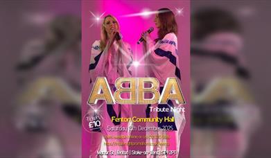 Abba Tribute Night - Fenton