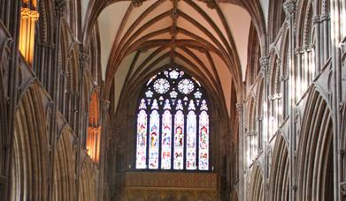 Curious About Lichfield