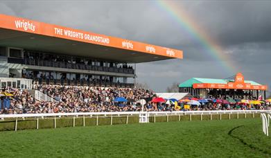 Race Meeting