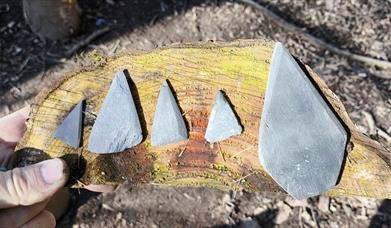 The Signatures: Northern Soul Live