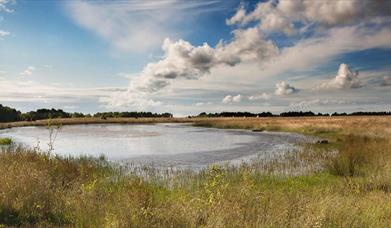 View across the water at Bateswood, photo by David Wain