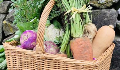 Brooklyn Grange Farm Shop and Camping