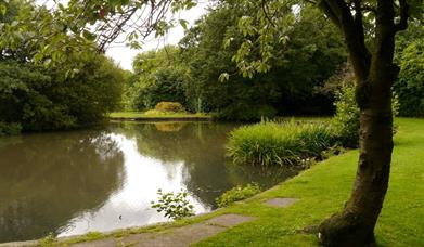 Brough Park Fields Nature Reserve
