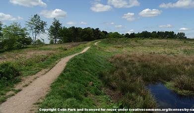 Castle Ring at Cannock Chase, Staffordshire. Copyright Colin Park.
