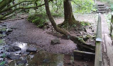 bridge over a stream