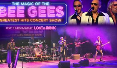 The Magic of the Bee Gees