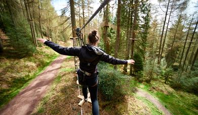 Go Ape x Winter Adventures 2025