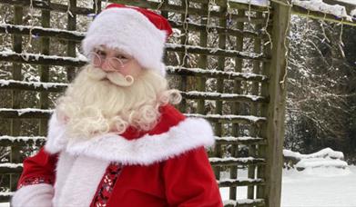 Santa stands in a snowy garden, next to a snow-covered trellis, and looks at the camera