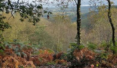 Hawksmoor Nature Reserve