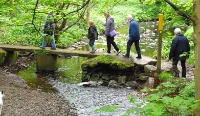 Servants Bridge in the National Forest- photo by Philip Thorne.