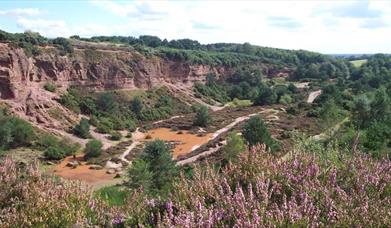 Park Hall Country Park