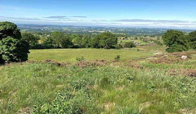 Pike Low Farm Camping