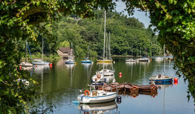 image of sail boats on Rudyard Lake