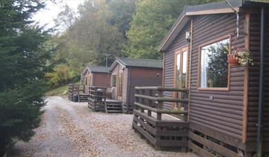 Raddle Inn Log Cabins