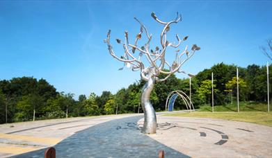 Central Forest Park