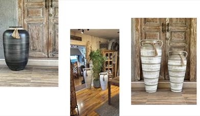 Wild Interiors