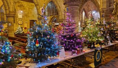 Christmas tree festival