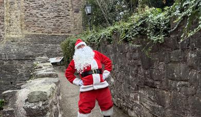 Santa in front of the castle