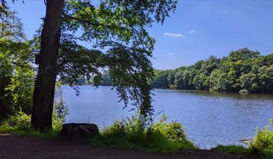 Knypersley Reservoir