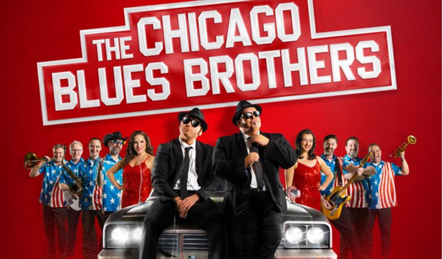 The Chicago Blues Brothers
