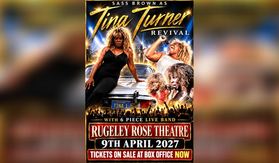 Tina Turner Revival