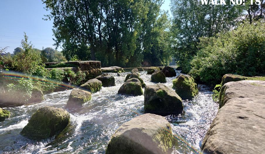 National Forest Walking Festival 18: Meadowside WALK