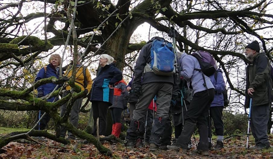 image of walkers