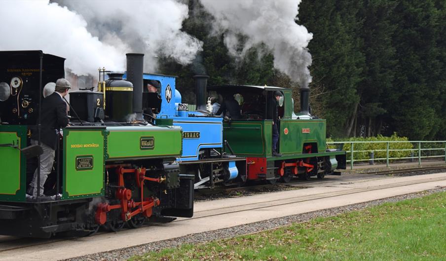 Summer Spectacle of Steam