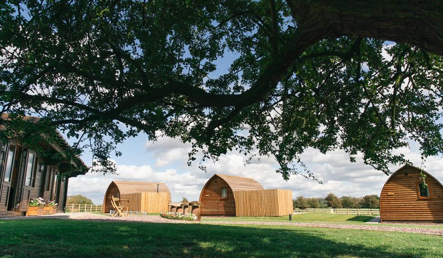 A group of wooden cabins at Saxon Meadow site