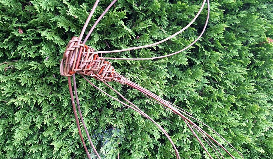 Josiah & Co Presents: A Willow Weaving Workshop with Petals & Pots