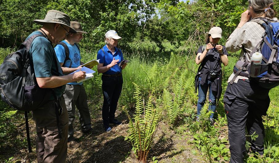 Flora Group Visit to Alvecote Wood