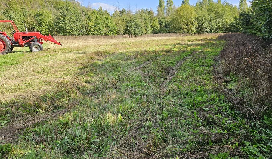 Wild flower meadows after some mowing, deliberately leaving some areas wild