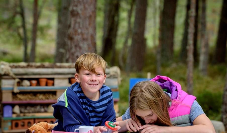 Two children examine the bugs at Middleton Lakes, Tamworth, Staffordshire