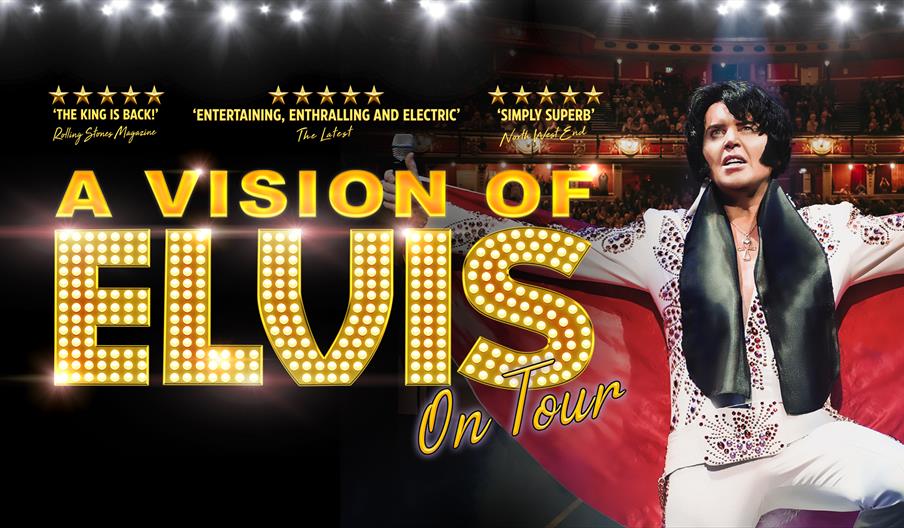 A Vision of Elvis
