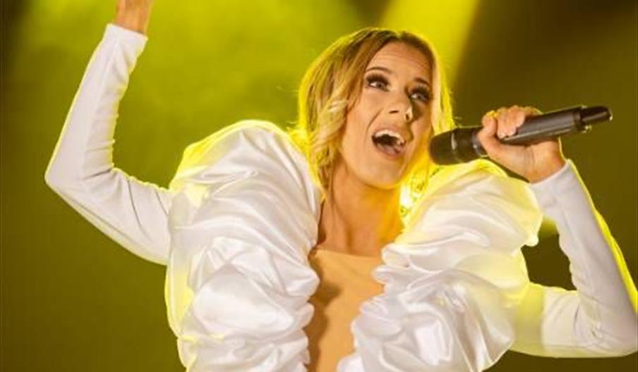 A tribute act dressed as Celine Dion
