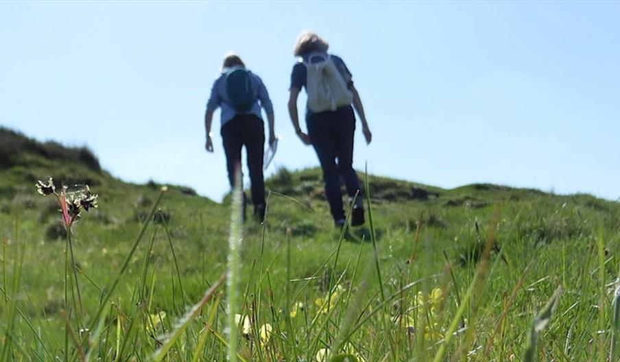 image of walkers, walking through a field