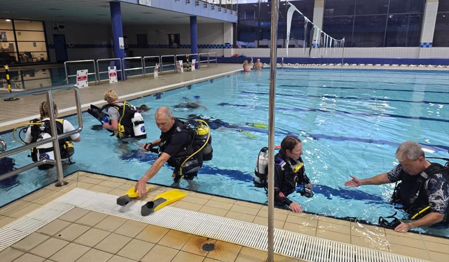 Pool Training