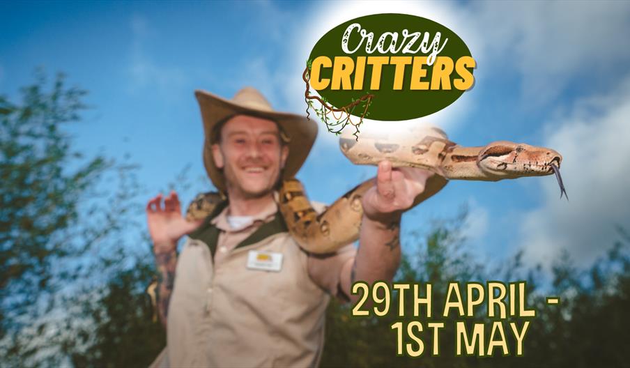 A man holds a snake in an image promoting Crazy Critters at the National Forest Adventure Farm, Staffordshire