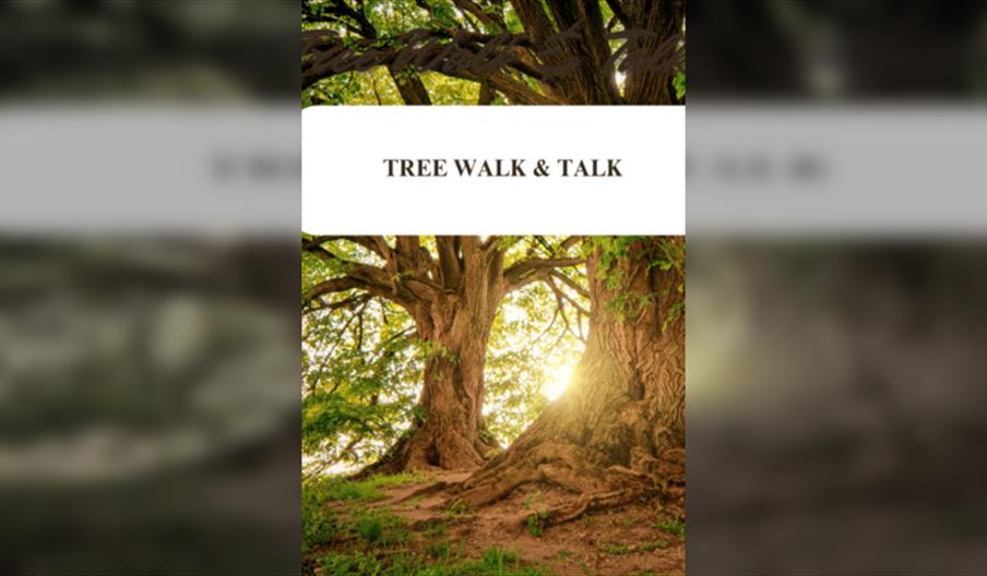 Tree Walk