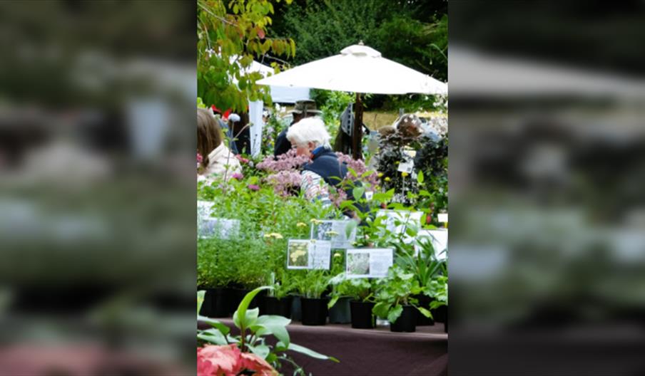 Easter Plant Hunters Fair Special Fund Raising Event