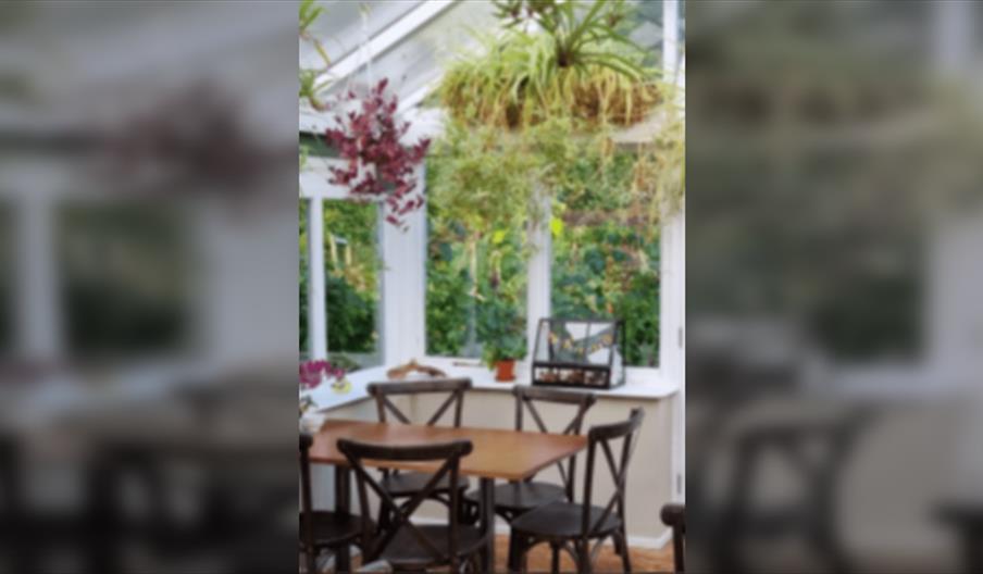 Sunday Lecture Group - Houseplants in all their glory