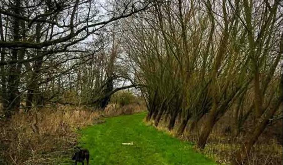 National Forest Walking Festival 32: Yoxall WALK