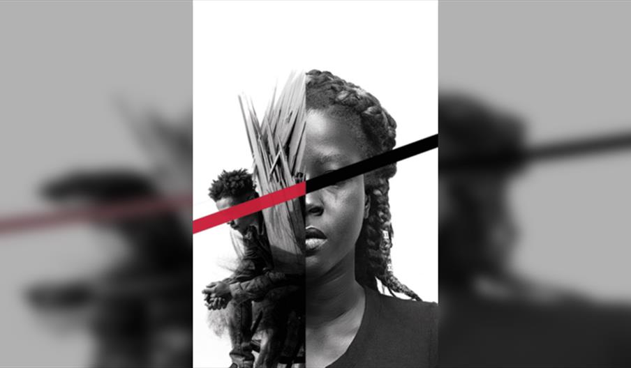 My Voice Was Heard But It Was Ignored