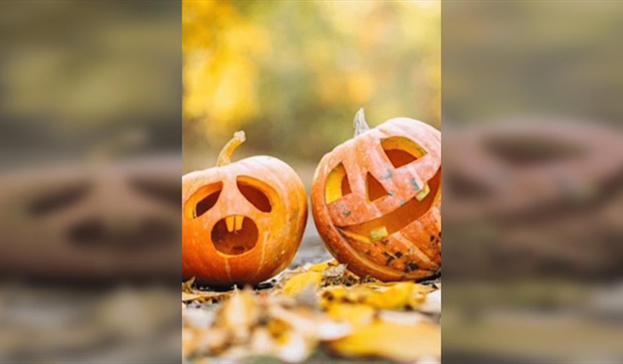 Halloween Fun with Staffordshire Wildlife Trust