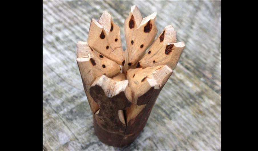 Lichfield Concert Band Presents: Music in Space!