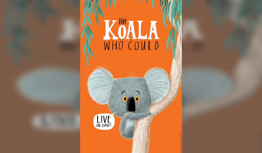 The Koala Who Could