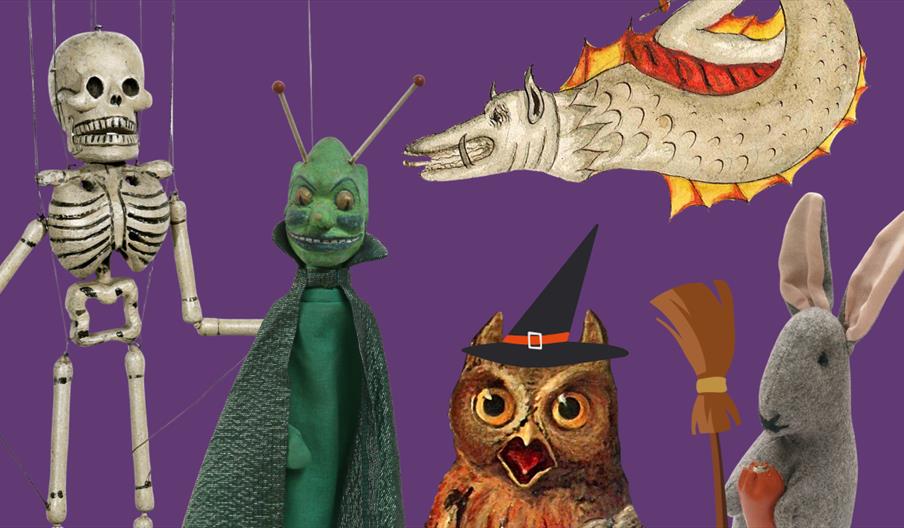 spooky animals