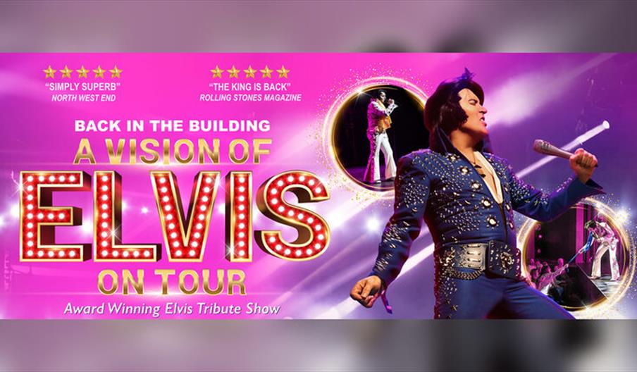 A Vision of Elvis