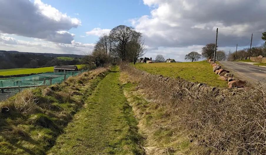 4 Wheels on my Waggon