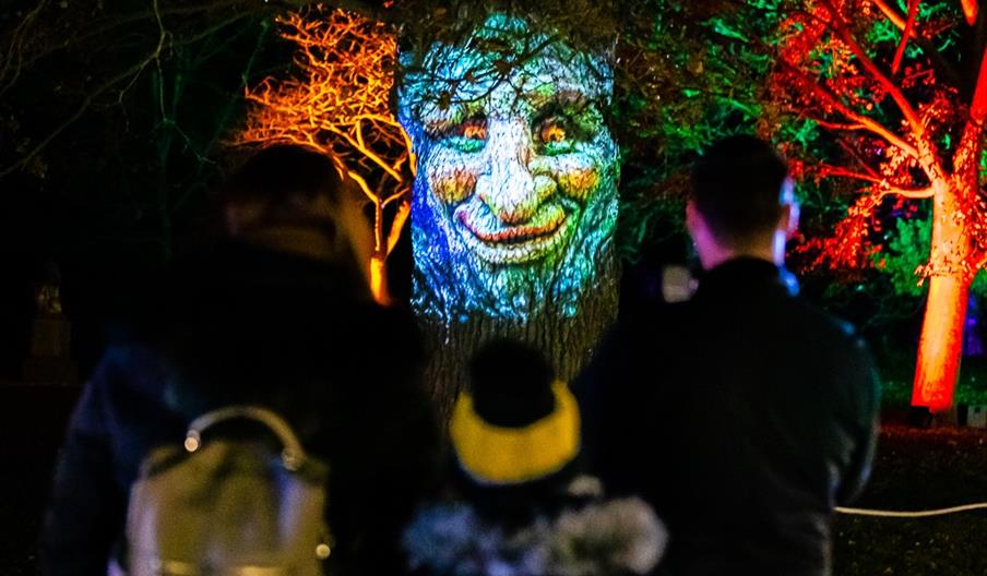 Luminate Shugborough